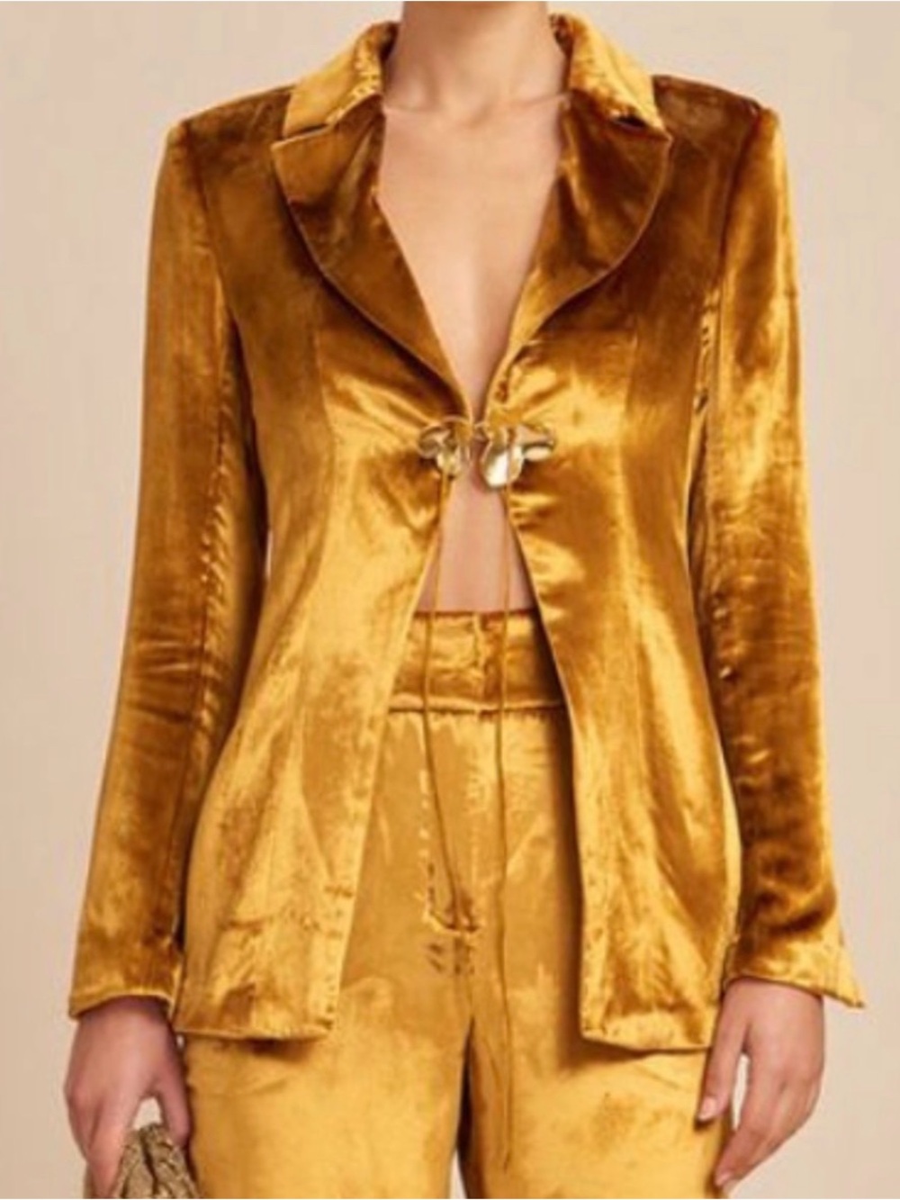 Cult Gaia velvet bilba blazer
